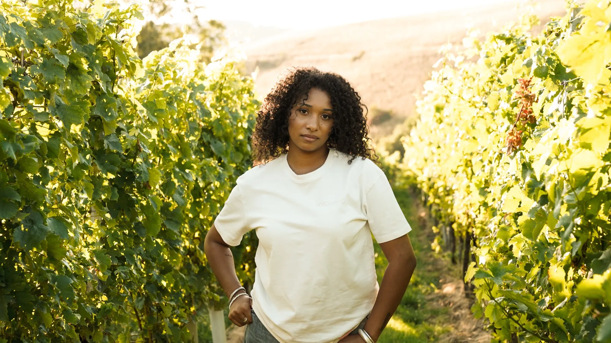 VinoGang – Kollektion Übersicht