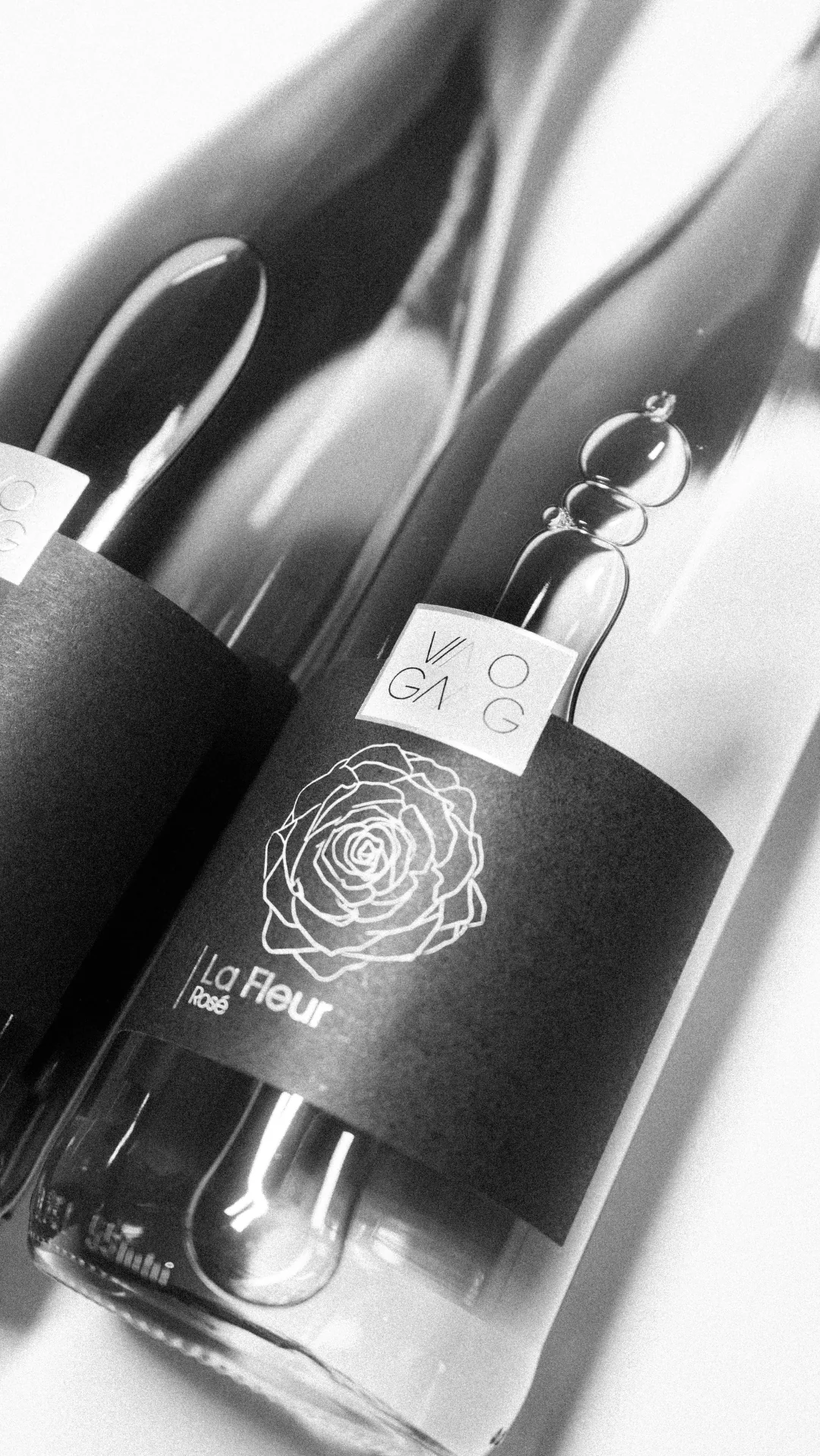 Vino Gang Wein-Linie — Rosé