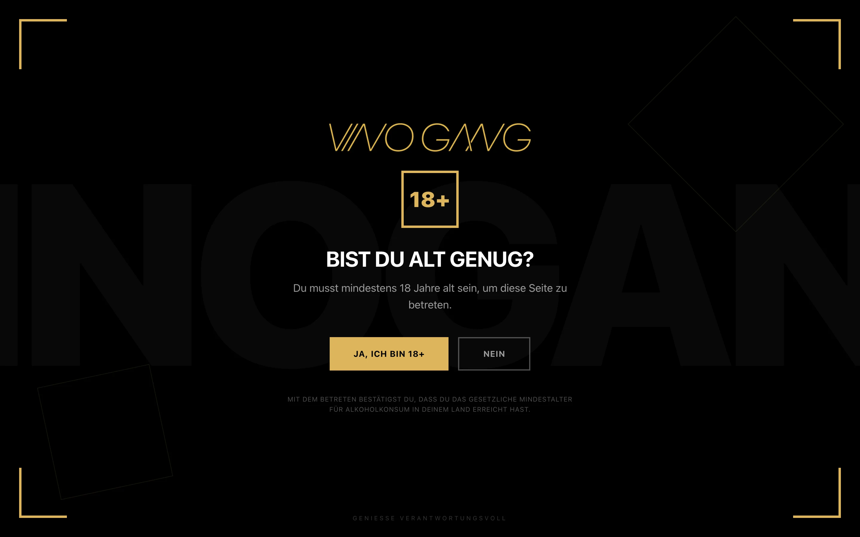 Vinogang — Website & SEO